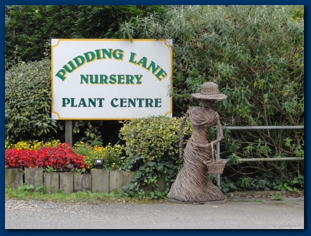 600x449 pixels (172K)